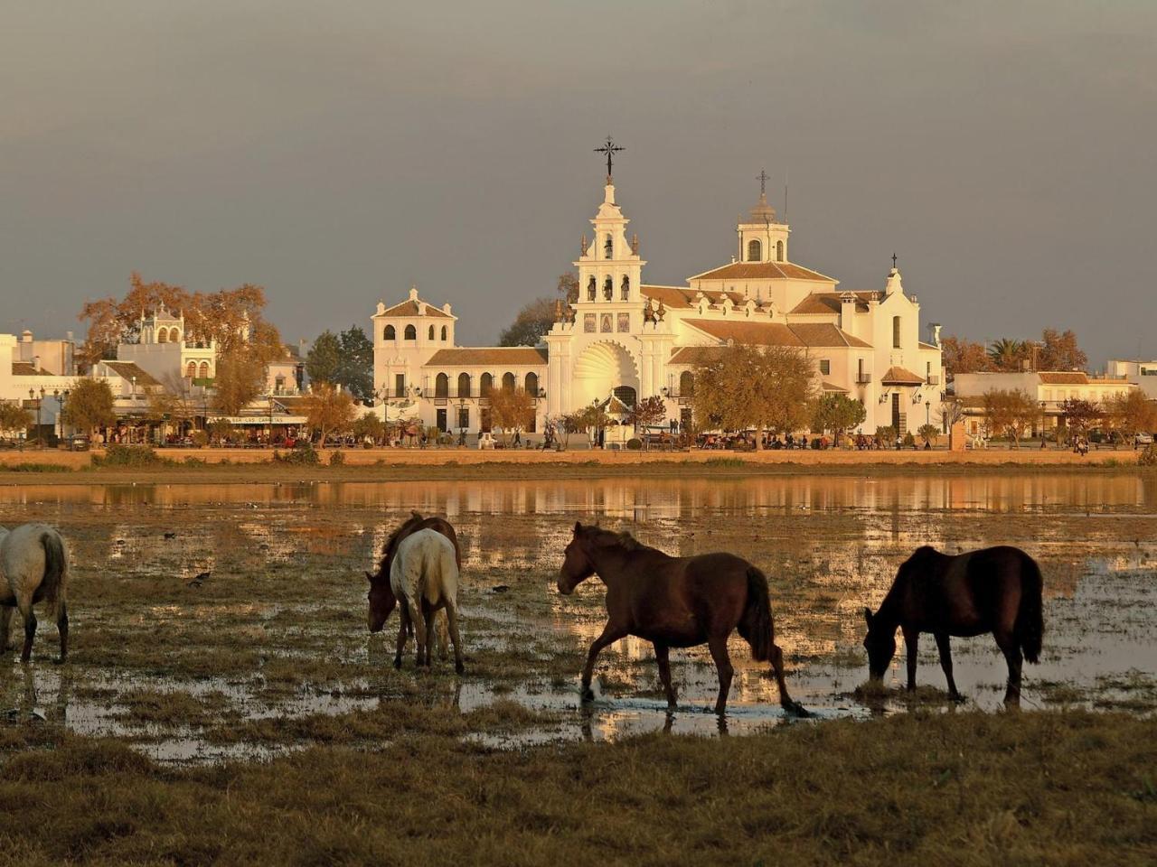 Alojamiento Rural Flamingo El Rocio Exterior photo